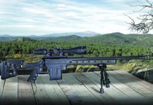 September 2018 Short Shots: Rifles and Rifle Accessories