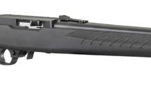 Ruger Introduces New 10/22 with Modular Stock System