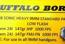 Deep-Penetrating Heavy-Bullet 9mm Loads: Pretty Good Picks