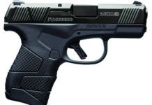 March 2019 Short Shots: New Handguns for 2019
