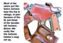 A Jackass? Yes, an Older One