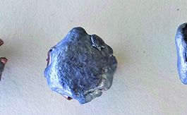 Gun Tests Ammunition Comparisons (2005-2024)