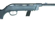 Savage Model 64 Takedown 40207 22 LR