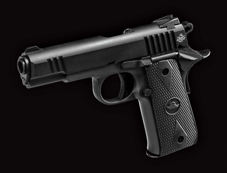 10 Top 380 ACP Pistols Gun Tests