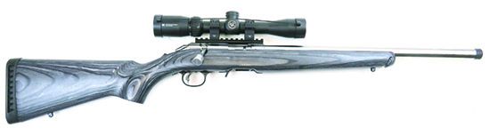 Ruger American Rimfire Target Model 8367 22 LR - Gun Tests