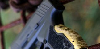 Personalizing a Taurus GX4