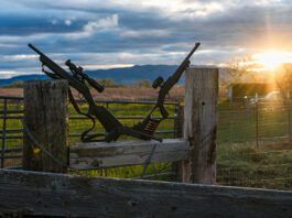 Rossi Rolls Out Single-Shot Break-Open Lightweight Carbine