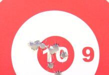 Top 10 22 LR Rifles for 2025