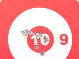 Top 10 22 LR Rifles for 2025