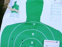 10 Best 380 ACP Pocket Pistols for 2025