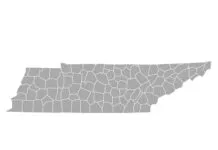 Tennessee Gun Laws