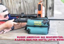243 Bolt Actions: We Test Ruger, Savage, Stevens, and Weatherby