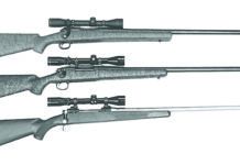Winchester Holds Its Own Against Remington, Savage
