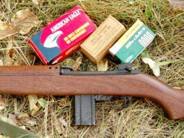 Top 10 Pistol-Caliber Carbines for 2025