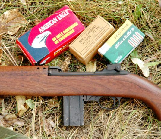 Top 10 Pistol-Caliber Carbines for 2025