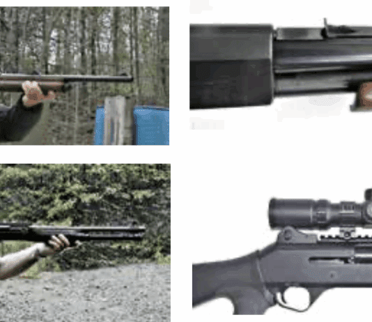 Shotgun Slug Accuracy Testing