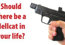 Should There Be a Hellcat in Your Life?