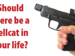 Should There Be a Hellcat in Your Life?