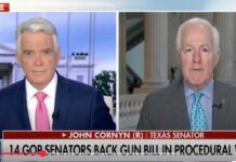 Gun Rights Key to Texas U.S. Senate Republican Primary Battle