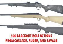 Bolt Actions in 300 Blackout