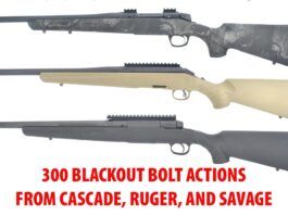 Bolt Actions in 300 Blackout