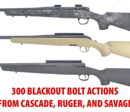 Bolt Actions in 300 Blackout