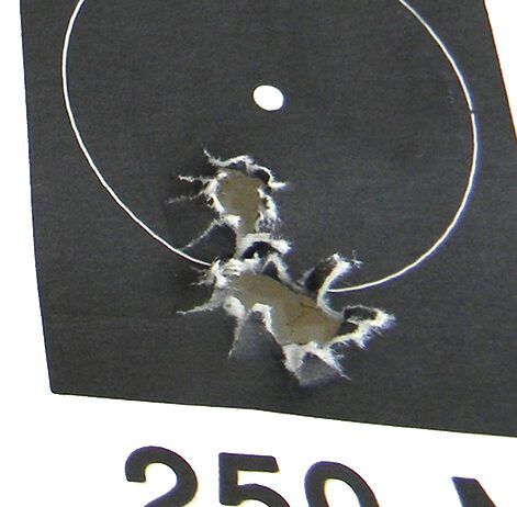 Top 10 Lower-Recoil Hunting Rifles for 2025