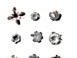 Best 9mm Luger Handgun Ammunition Choices