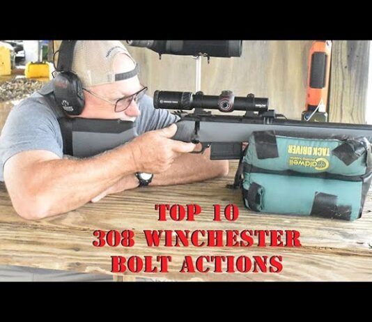 Top 10 308 Winchester Bolt Action Rifles Video