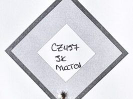 Top 10 22 LR Rifles for 2026