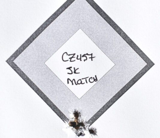 Top 10 22 LR Rifles for 2026