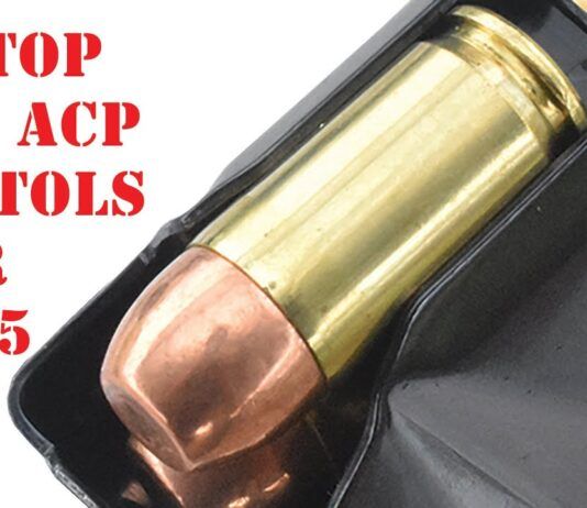 10 Top 380 ACP Pistols for 2025 Video