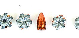 9mm Luger Short-Barrel Ammo Shooting for Concealed Carry