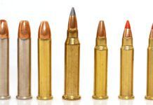 Top 10 Rimfire Rifles for 2026