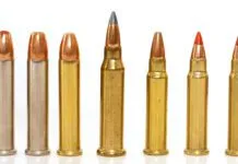 Top 10 Rimfire Rifles for 2026 Image