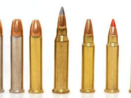 Top 10 Rimfire Rifles for 2026