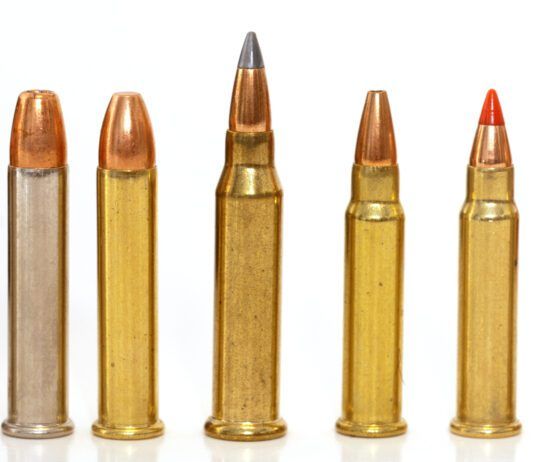 Top 10 Rimfire Rifles for 2026