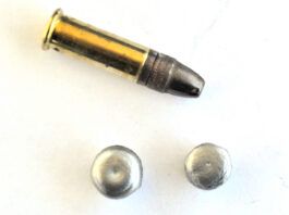 The Truth about 22 LR for Self Defense: Game-Changer or Bad Idea?
