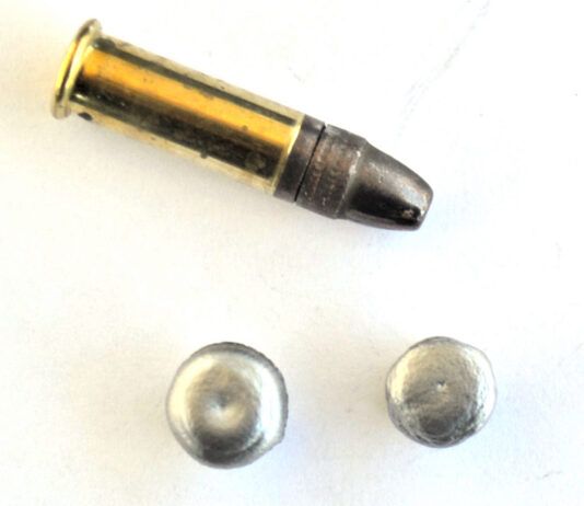 The Truth about 22 LR for Self Defense: Game-Changer or Bad Idea?