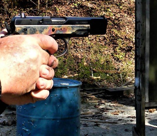 Top 10 Full-Size 9mm Luger Handguns