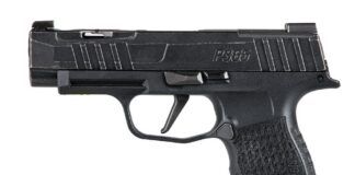 Sig Sauer P365XL Spectre P365V001 9MM Luger, Icarus Precision Frame