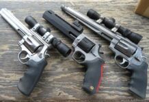 What Handgun Should I Buy for Bear Defense While Hiking?