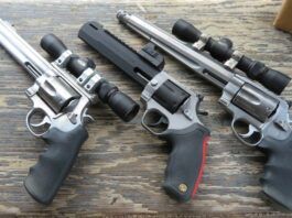 What Handgun Should I Buy for Bear Defense While Hiking?