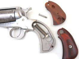 Top 10 Single-Action Rimfire Revolvers