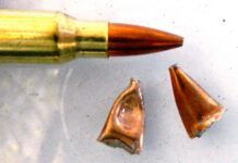 The Truth About 223 Remington Defense Loads