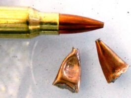 The Truth About 223 Remington Defense Loads