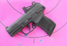 The Truth About the 380 ACP Cartridge and Pistols for Self Defense