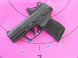 The Truth About the 380 ACP Cartridge and Pistols for Self Defense