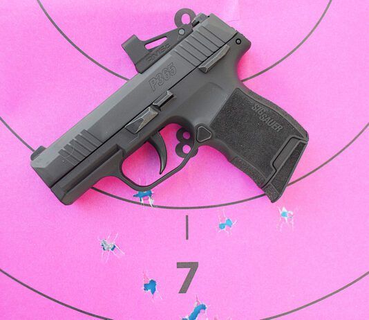 The Truth About the 380 ACP Cartridge and Pistols for Self Defense